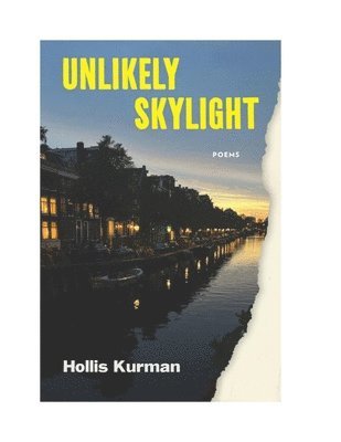 bokomslag Unlikely Skylight: Poems