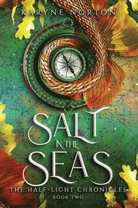 bokomslag Salt in the Seas