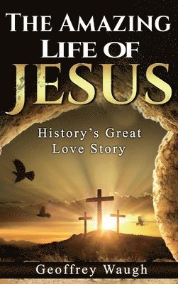 bokomslag Amazing Life of Jesus