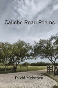 bokomslag Caliche Road Poems