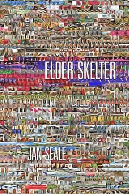 bokomslag Elder Skelter