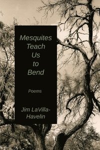 bokomslag Mesquites Teach Us to Bend