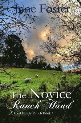 The Novice Ranch Hand 1