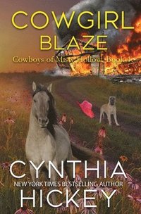 bokomslag Cowgirl Blaze