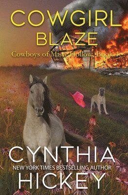 bokomslag Cowgirl Blaze