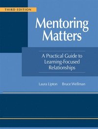 bokomslag Mentoring Matters