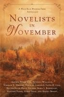 bokomslag Novelists in November: a Wild Blue Wonder Press anthology