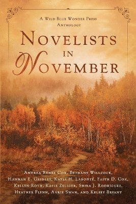 bokomslag Novelists in November