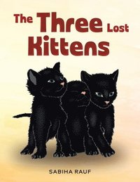 bokomslag The Three Lost Kittens