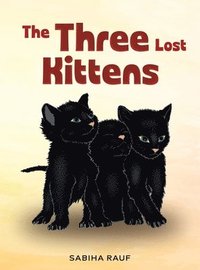 bokomslag The Three Lost Kittens