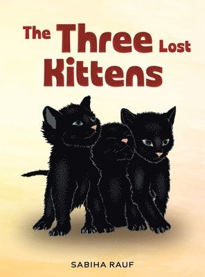 bokomslag Three Lost Kittens