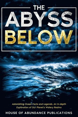 bokomslag Abyss Below