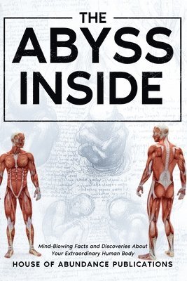 bokomslag Abyss Inside