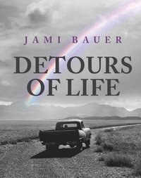 bokomslag Detours of Life