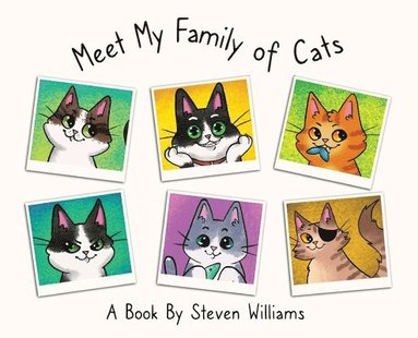 Steven James Williams - Meet My Family of Cats, Inbunden