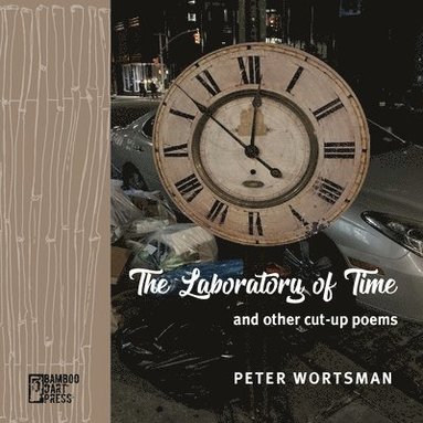 Peter Wortsman - Laboratory of Time, Häftad