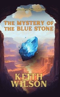 bokomslag Mystery of the Blue Stone