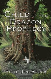 bokomslag Child of the Dragon Prophecy