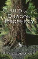 Effie Joe Stock - Child of the Dragon Prophecy, Häftad
