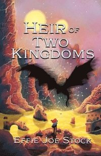 bokomslag Heir of Two Kingdoms