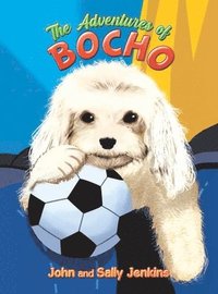 bokomslag The Adventures of Bocho