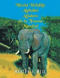 bokomslag Alfabeto de la Fauna Mundial