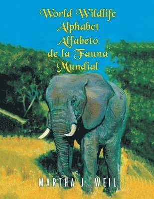 bokomslag Alfabeto de la Fauna Mundial