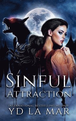 bokomslag Sinful Attraction