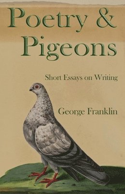 Poetry & Pigeons 1