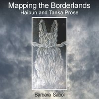 bokomslag Mapping the Borderlands