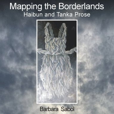 bokomslag Mapping the Borderlands
