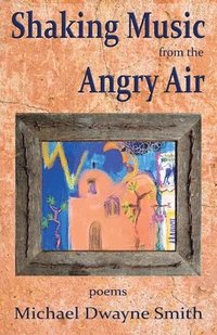 bokomslag Shaking Music from the Angry Air