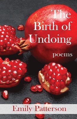 bokomslag Birth of Undoing