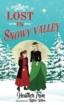 Lost in Snowy Valley 1