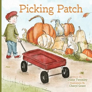 bokomslag Picking Patch