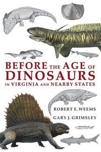 bokomslag Before the Age of Dinosaurs in Virginia and Nearby States