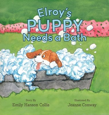 Elroy's Puppy Needs a Bath 1