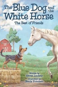 bokomslag Blue Dog and the White Horse