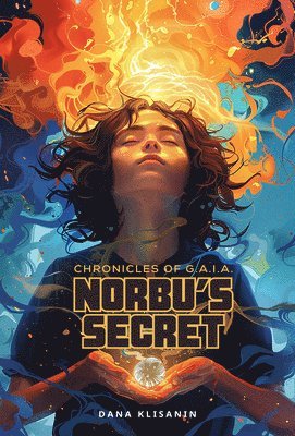 bokomslag Norbu's Secret