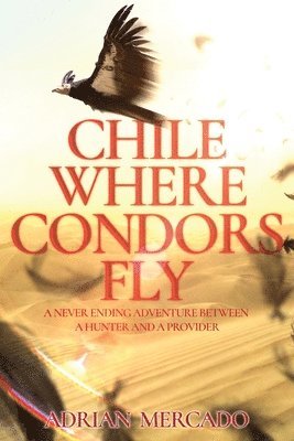 bokomslag Chile Where Condors Fly