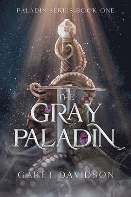 bokomslag Gray Paladin
