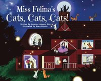 bokomslag Miss Felina's Cats, Cats, Cats!