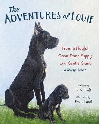 bokomslag The Adventures of Louie: From a Playful Great Dane Puppy to a Gentle Giant