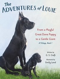 bokomslag The Adventures of Louie: From a Playful Great Dane Puppy to a Gentle Giant