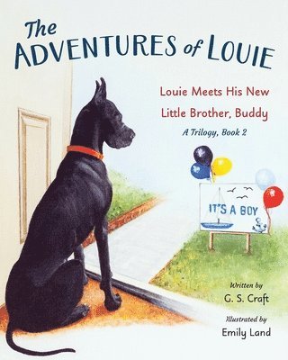 G S Craft - Adventures of Louie, Häftad