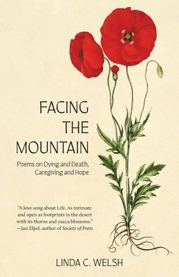 Linda C Welsh, Linda C. Welsh - Facing the Mountain, Häftad