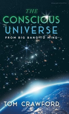 The Conscious Universe 1