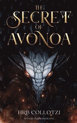 bokomslag Secret of Avonoa
