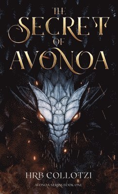 bokomslag Secret of Avonoa