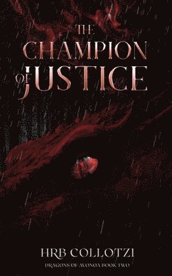 bokomslag The Champion of Justice